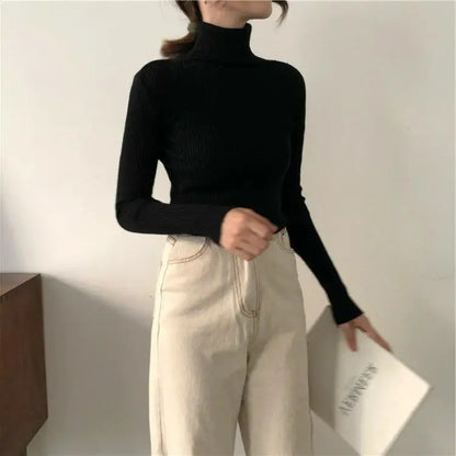 Black Turtleneck Ladies Sweaters Pullover Knitted Top for Women Gigh Neck Jerseys Off White Korean Fashion 2024 Designer Crochet